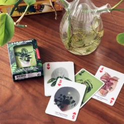 KIKKERLAND 3D Plant Playing Cards -Kikkerland 3d plant playing cards on table