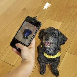 KIKKERLAND Dog Treat Selfie Clip -Kikkerland Dog Treat Selfie Clip In Use