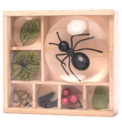 KIKKERLAND Huckleberry My Little Museum 5 KIKKERLAND Huckleberry My Little Museum -Kikkerland Huckleberry Bug Box Actionshot