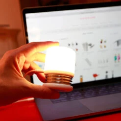 Spring Light By Kikkerland 5 Spring Light By Kikkerland -Kikkerland LP85 EU 000 003