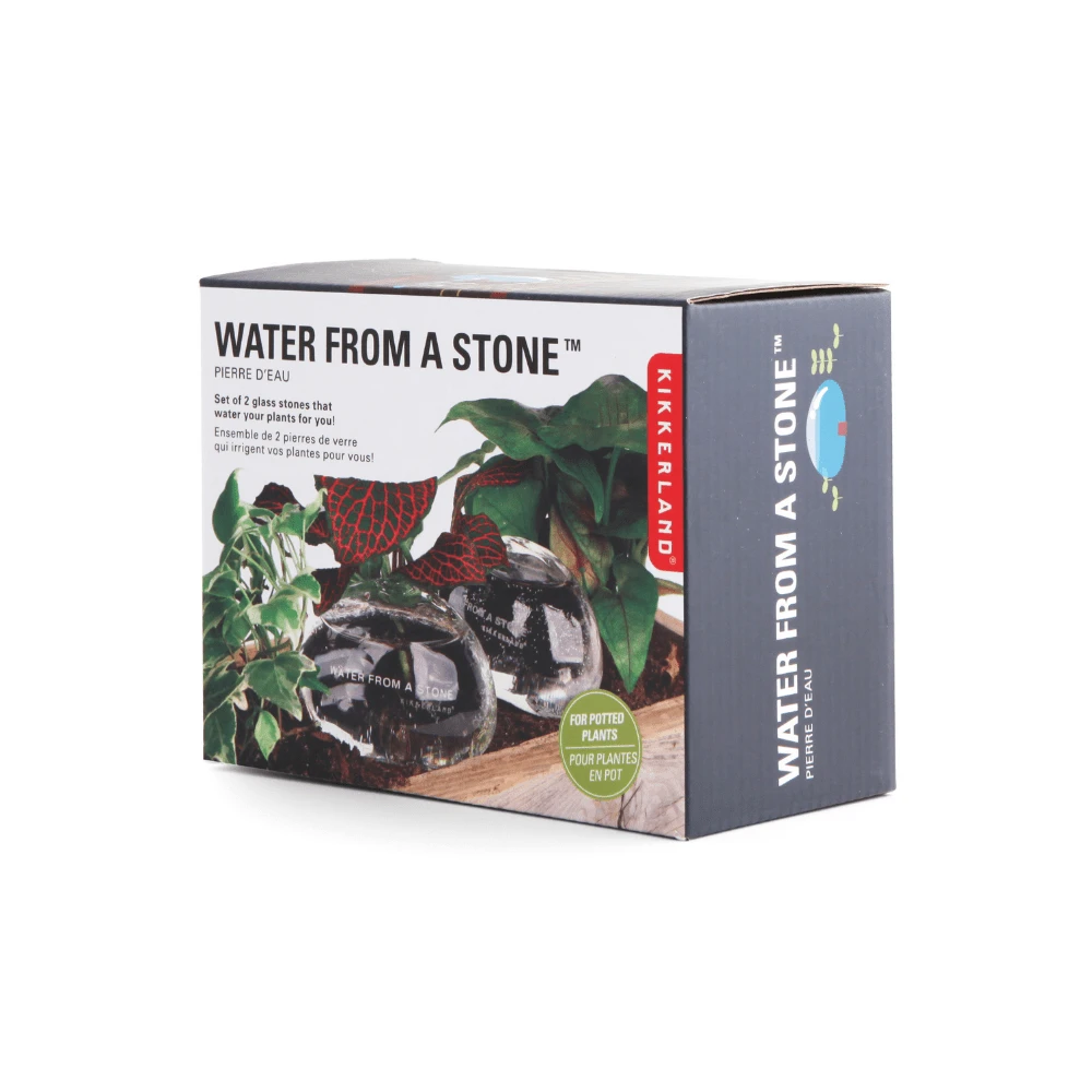 KIKKERLAND Water From A Stone 1 KIKKERLAND Water From A Stone