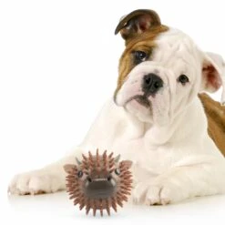 KIKKERLAND Cow Dog Ball -Kikkerland cow dog ball lifestyle