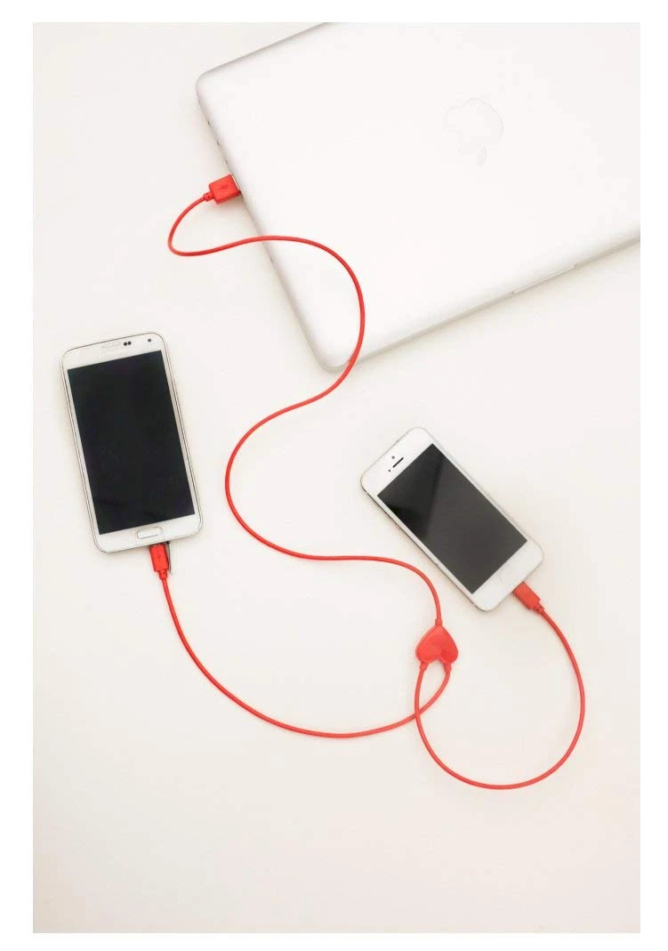 KIKKERLAND IPhone Heart 2-in-1 Dual Charging Cable 2 KIKKERLAND IPhone Heart 2-in-1 Dual Charging Cable - Image 2