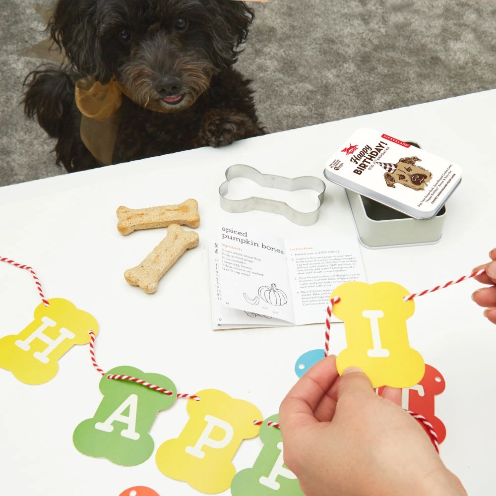 Kikkerland Dog Birthday Kit 2 Kikkerland Dog Birthday Kit - Image 2