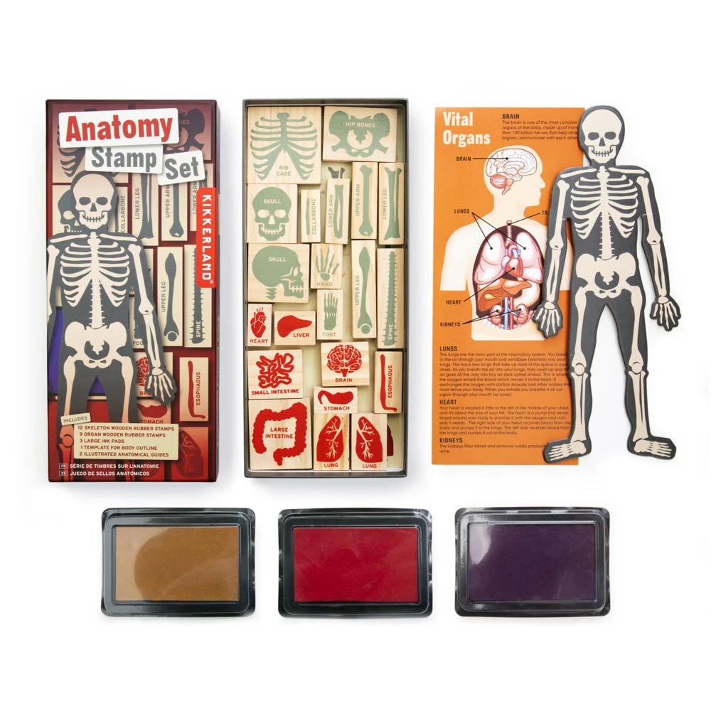 Kikkerland Anatomy Stamps Set 2 Kikkerland Anatomy Stamps Set - Image 2