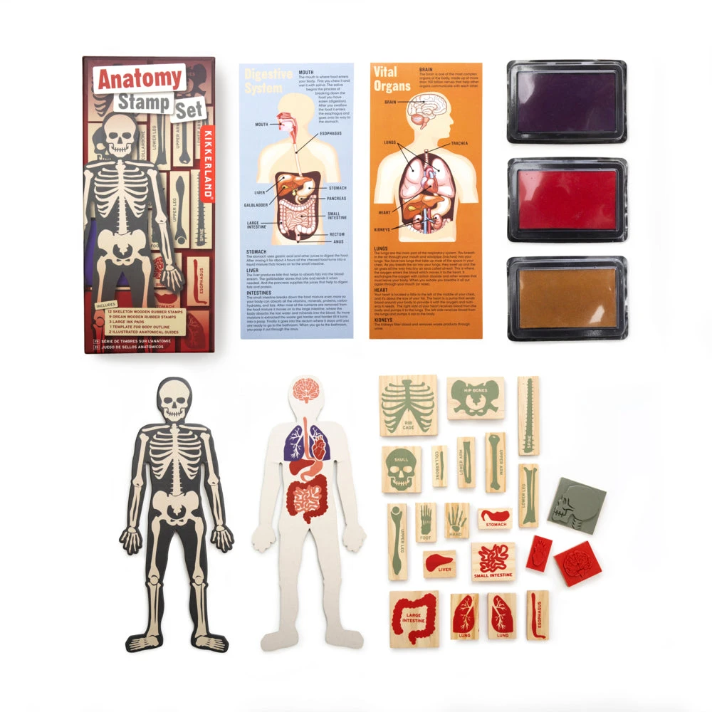 Kikkerland Anatomy Stamps Set 1 Kikkerland Anatomy Stamps Set