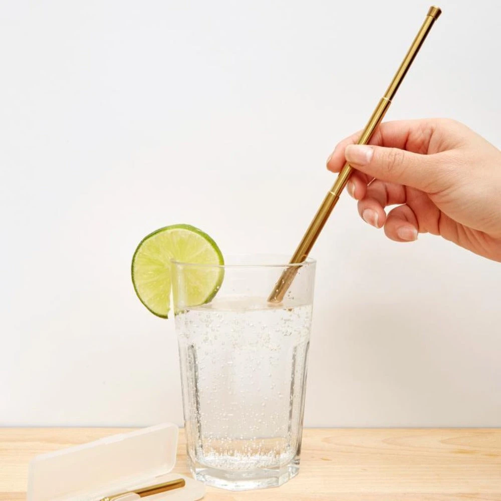 KIKKERLAND Travel Straw Set 5 KIKKERLAND Travel Straw Set - Image 5